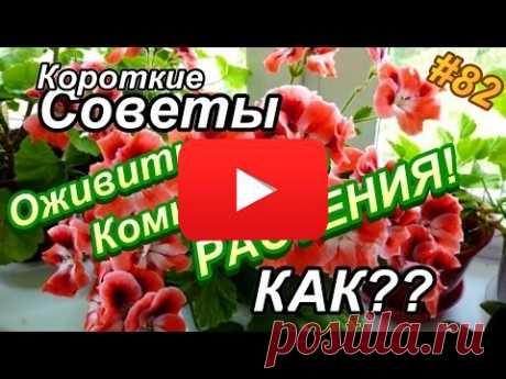 Куриные желудочки по-корейски | Полезные советы
