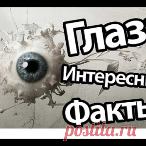 ИНТЕРЕСНЫЕ ФАКТЫ О ЗРЕНИИ.