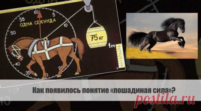 Как появилось понятие «лошадиная сила»? Статья автора «VestiNews. Люди, события, факты» в Дзене ✍: Концепция 