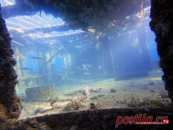 Дайвинг в Хургаде | Фотогалерея | Wreck Balena | Верхняя палуба