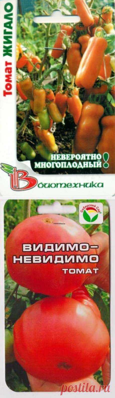 Сорта помидоров с фото и описанием - лучшие урожайные сорта! - Люблю свой сад
