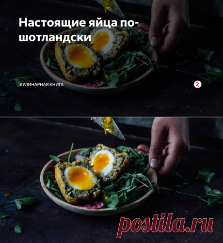 Настоящие яйца по-шотландски | Кулинарная книга | Яндекс Дзен