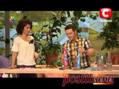 Декорируем бутылки - Все буде добре - Выпуск 12 - 19.07.2012 - Все будет хорошо - Все будет хорошо