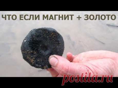 Добываем золото простым магнитом?! В любой стране, в любом городе!!!