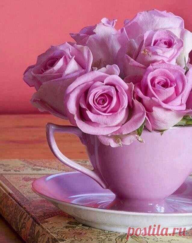 Доброго дня нежные цветы. Цветы в кружке. Букет цветов для настроения. Красивые цветы в чашке. Утренние цветы.