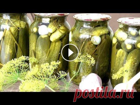 Любимый рецепт МАРИНОВАННЫХ ОГУРЦОВ без стерилизации /Favorite recipe for PICKLED CUCUMBERS #ОгурцыМаринованныеКвашенныеСолёныеКонсервацияCucumbers #InthemarinadeMarinade ДОРОГИЕ ДРУЗЬЯ, просмотр рекламы на моих видео это Ваша благодарность з...
