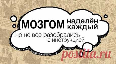 Иронизмы...