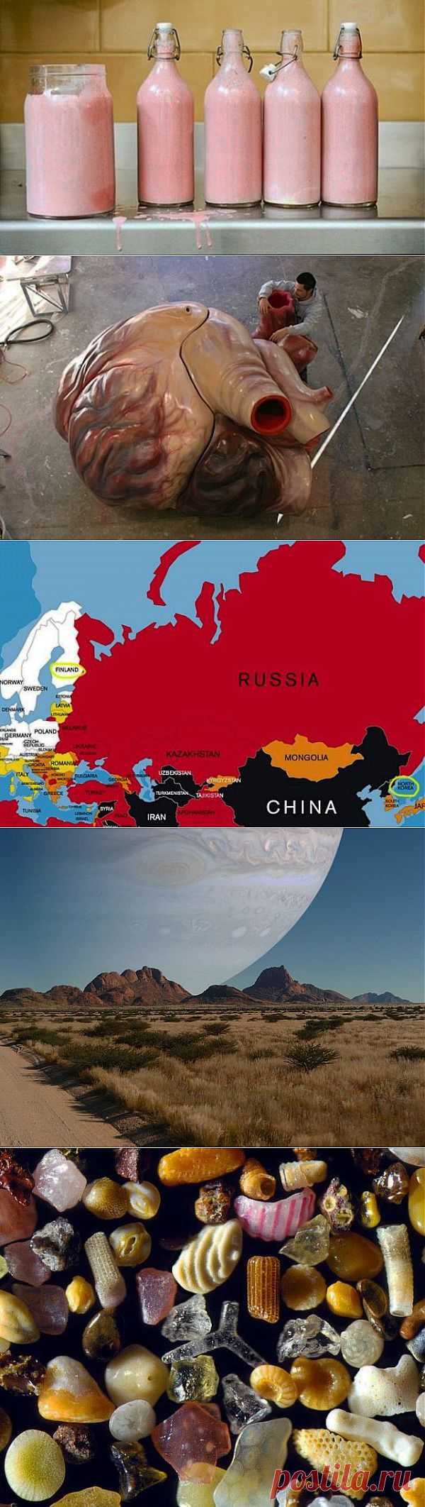 Факты, которые звучат как ложь, но являются правдой