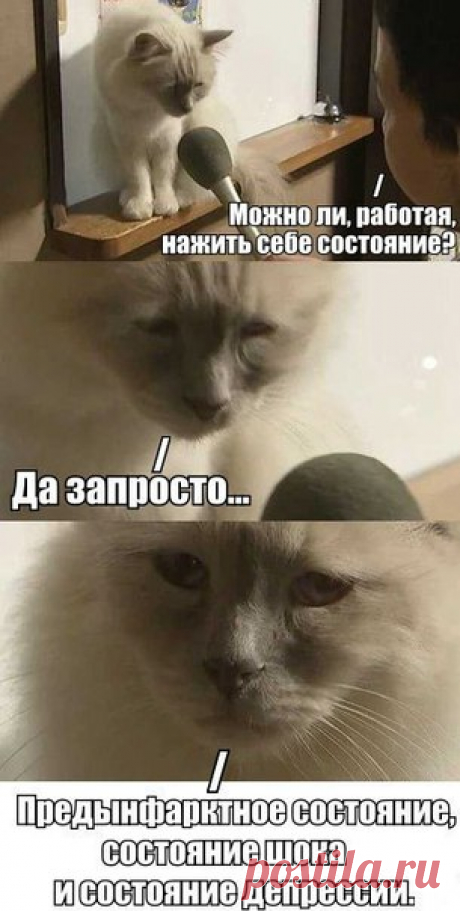афоризмы