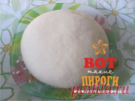 Пельменное тесто | ВОТ ТАКИЕ ПИРОГИ
