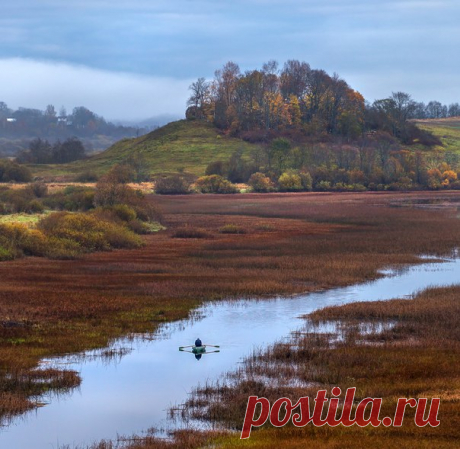 Фото дня. Рыбак.