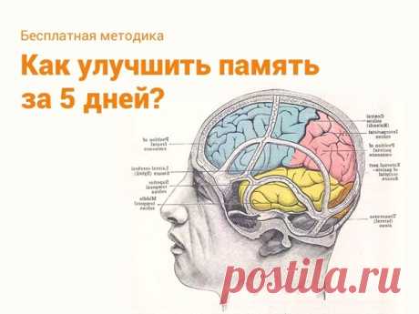 🤚🏻 Прокачай свою память за 5 дней 👇🏻 


Узнай: 
+ Как устроена твоя память и что мешает тебе запоминать? 
+ Как выполнять вычисления в уме? 
+ Как запоминать списки? 
+ Как эффективно запоминать иностранные слова? 
+ Как быстро запомнить имя человека? 
+ Как повысить концентрацию и стать внимательнее? 

Нажми, чтобы прокачать свой мозг👇🏻