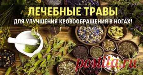 Название диеты происходит от имени известного калифорнийского кардиолога и профессора медицины – Дина Орниша. Это вегетарианская диета с низким содержанием жиров и высоким содержанием клетчатки, богатая сложными углеводами, овощами и фруктами..