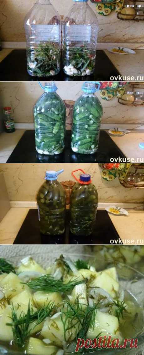 Соленые огурцы (как из бочки) в пластиковой бутылке - Простые рецепты Овкусе.ру