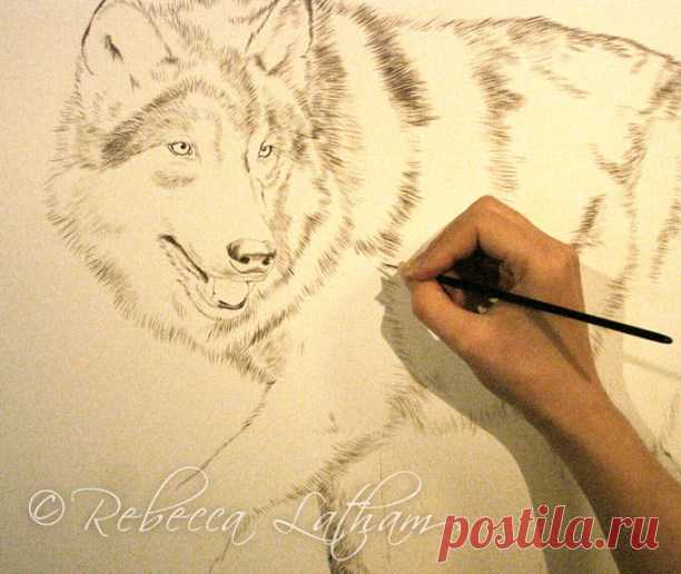 Детализация – акварель Timberwolf | Картины дикой природы и природы Ребекки Лэтэм