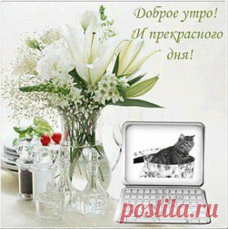 Мой Мир@Mail.Ru