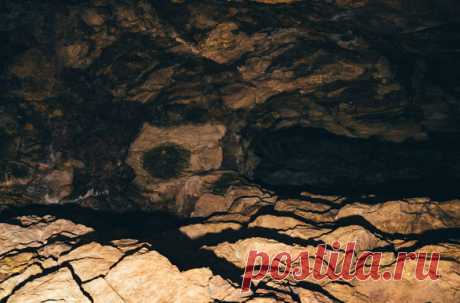 Уникальный рисунок каменного века найден в пещере на Урале Ученые обнаружили в Каповой пещере в Башкирии древнейшее изображение животного, которое ранее не встречалось в «художественных галереях» каменного века. Более того, этот зверь в то время не водился в этих краях