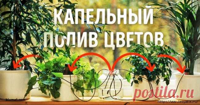 .Идеи для дома и дачи. | Записи в рубрике .Идеи для дома и дачи. | Дневник Татьяна_Тухтина : Блоги на Труде