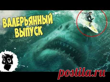 прапорщиков олег: чудеса подводного мира | Постила.ru
