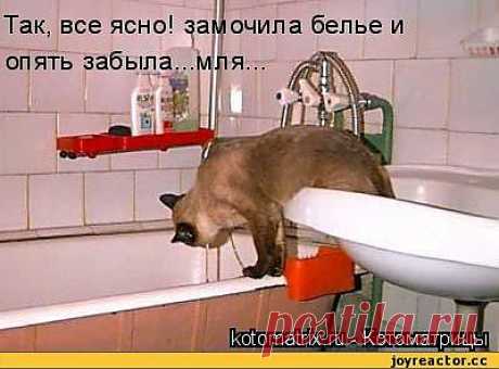 Если надо отстирать очень &quot;застиранное&quot; хлопчатобумажное белье..