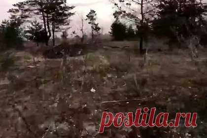 Возможная гибель британского наемника на Украине попала на видео. РИА Новости показало видео возможной гибели британского наемника на Украине, снятую на экшн-камеру украинского солдата, погибшего впоследствии в результате обстрела. На видео двое украинских военных пытаются эвакуировать третьего бойца, у которого на бронежилете заметен флаг Великобритании.