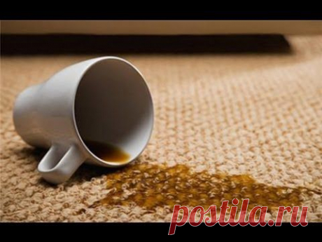 Как вывести пятна от чая и кофе / Домоседы