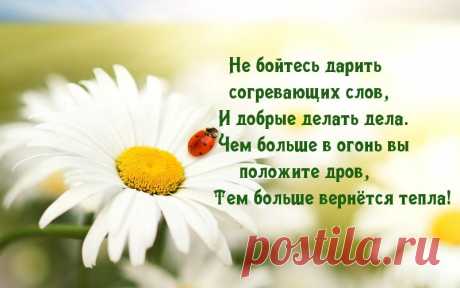 Притча о силе прощения.