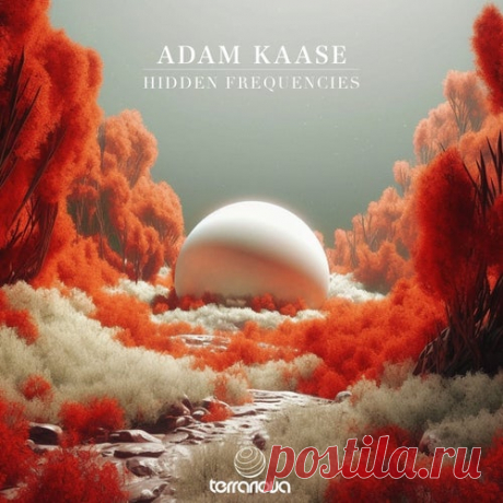 Adam Kaase - Hidden Frequencies [Terranova]