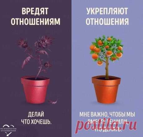 9 фраз, разрушающих отношения Не потеряй!