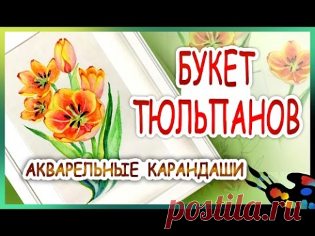 Как нарисовать БУКЕТ ТЮЛЬПАНОВ! Карандаши ЦВЕТНЫЕ для начинающих, акварельные. Акварель.