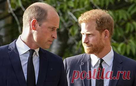 Guardian: принц Гарри рассказал о драке с братом Уильямом из-за Меган Маркл. По словам Гарри, семейный конфликт разгорался на фоне того, как Уильям назвал актрису &quot;тяжелой, грубой и резкой&quot;
