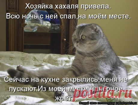 574507.jpg (изображение «JPEG», 750x567 пикселов)