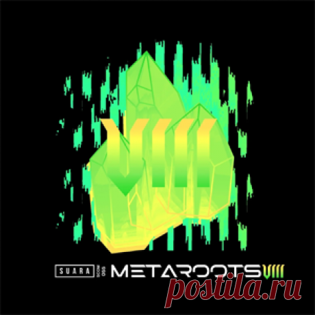 Various Artists - Metaroots 8 | 4DJsonline.com