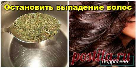 Остановить выпадение волос - ПОЛЕЗНЫЕ СОВЕТЫ