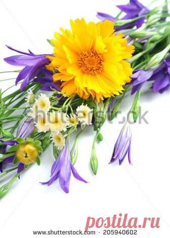 Bouquet Flowers Happy Birthday Imagen De Archivo (stock) 744240841 - Shutterstock