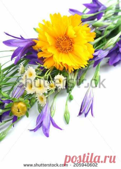 Bouquet Flowers Happy Birthday Imagen De Archivo (stock) 744240841 - Shutterstock