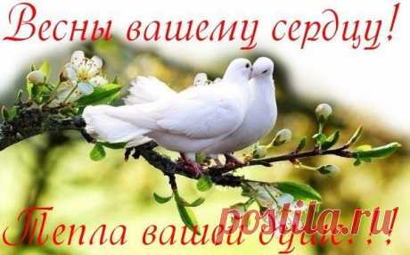 Счастья не хватает - так возьмите! Черпайте для ласковой души! Радостью себя благословите! ...