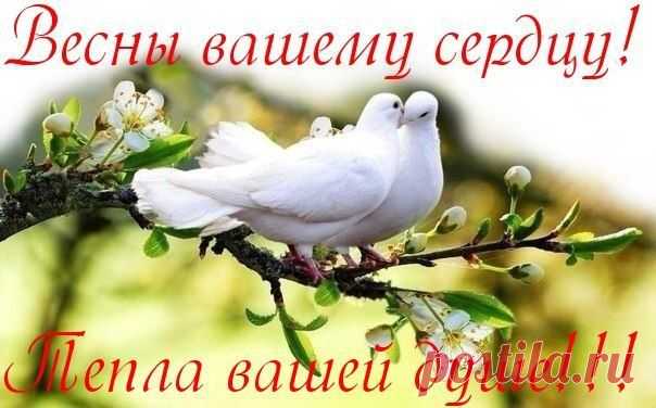 Счастья не хватает - так возьмите! Черпайте для ласковой души! Радостью себя благословите! ...