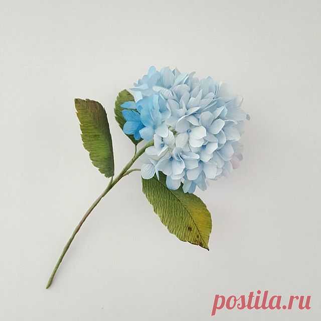 In a blue mood (but in a good way).