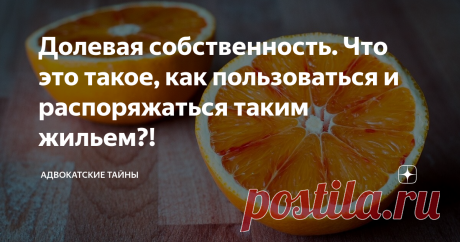 Долевая собственность. Что это такое, как пользоваться и распоряжаться таким жильем?! 👍 Хорошо, когда у вас есть в собственности какое-то имущество, даже если эта собственность долевая.
Как пользоваться и распоряжаться имуществом, находящимся в долевой собственности, сдать в аренду или прописаться? – обо всем по порядку.
Pixabay
❓Что такое долевая собственность? Долевая собственность – это когда имущество находится в собственности нескольких человек и эти доли четко определены.