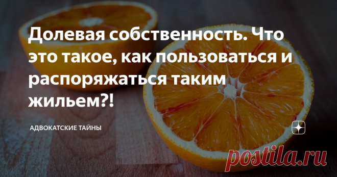 Долевая собственность. Что это такое, как пользоваться и распоряжаться таким жильем?! 👍 Хорошо, когда у вас есть в собственности какое-то имущество, даже если эта собственность долевая.
Как пользоваться и распоряжаться имуществом, находящимся в долевой собственности, сдать в аренду или прописаться? – обо всем по порядку.
Pixabay
❓Что такое долевая собственность? Долевая собственность – это когда имущество находится в собственности нескольких человек и эти доли четко определены.