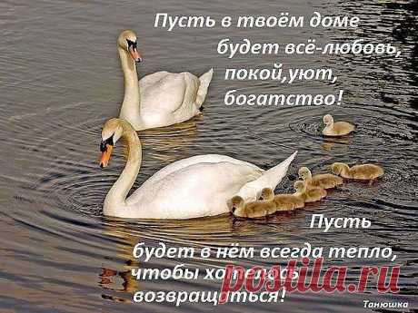 Интересные новости