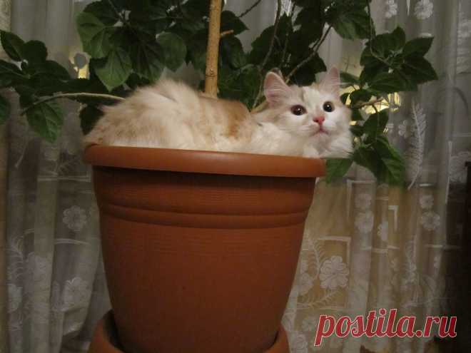 Славненько устроилась...