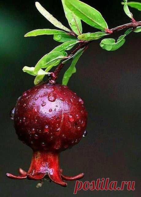 i (640×892)