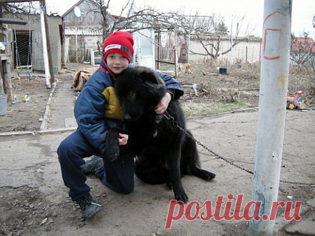 Мой телохранитель.