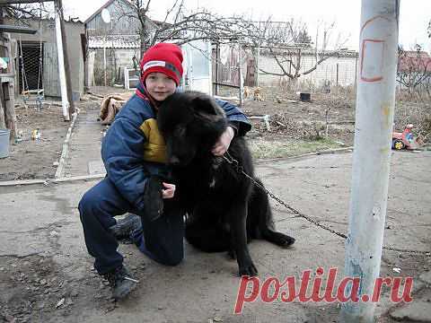 Мой телохранитель.