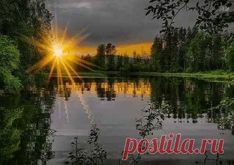 Одноклассники     Природа - лучший лекарь: молча выслушает, исцелит душу, подарит радость....и не выдаст вашу тайну никому...