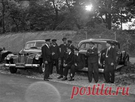 Diplomatic Plates: 1942 May 1942. Washington, D.C. "Garden party at the New Zealand legation. Chauffeurs and limousines." At right, a V-16 Cadillac. Acetate negative by Marjory Collins.