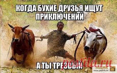 Убойный юмор понедельника / Картинки: Приколы