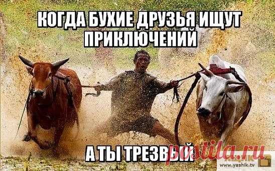 Убойный юмор понедельника / Картинки: Приколы